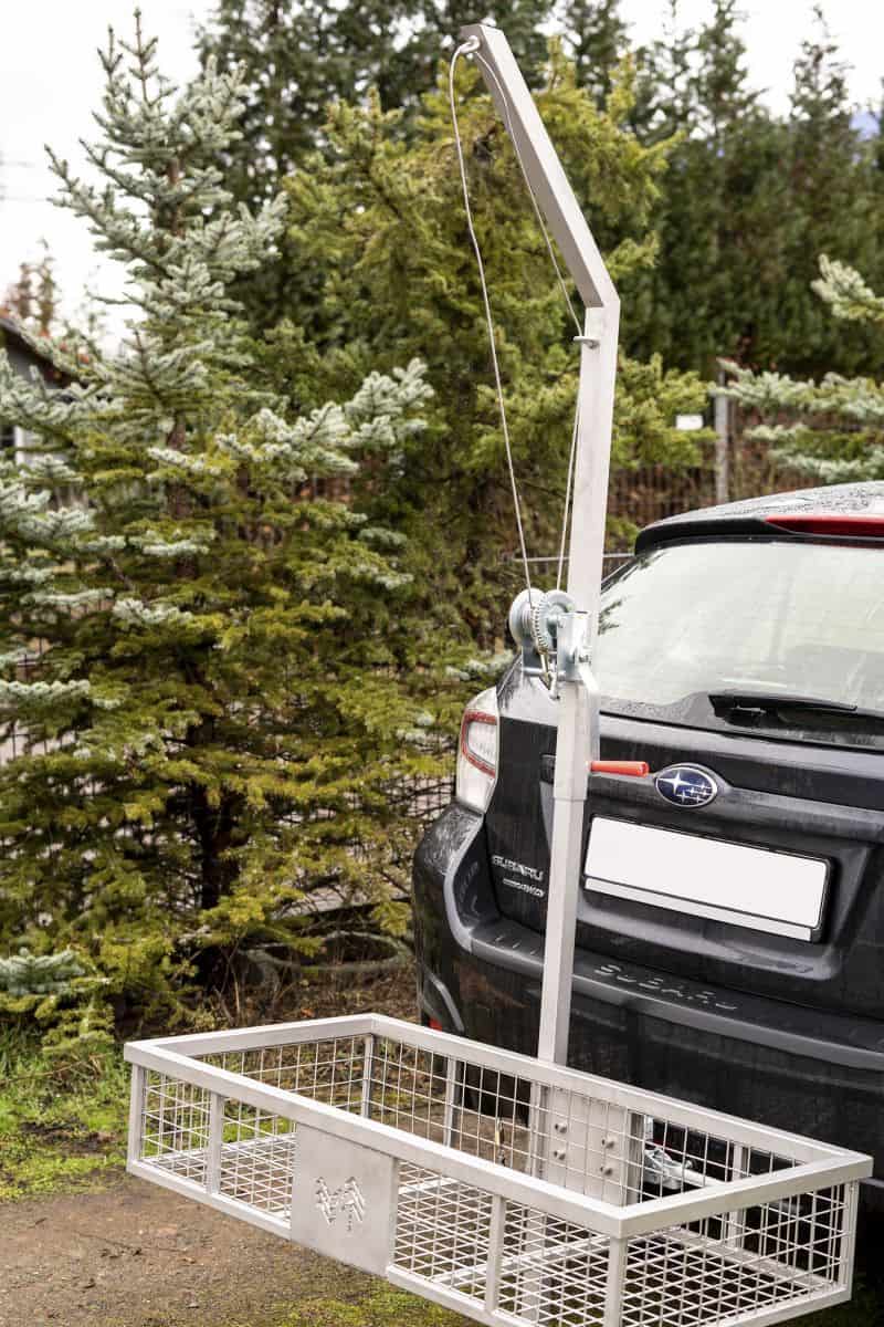 Wildträger "Gräfenstein" – Bild 3